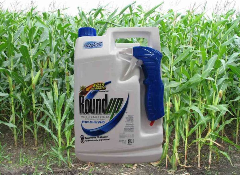 Is the Roundup Weed Killer (Glyphosate) Bad for You?