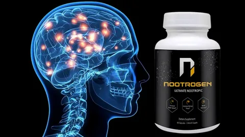 The Best Nootropics for Memory Improvement